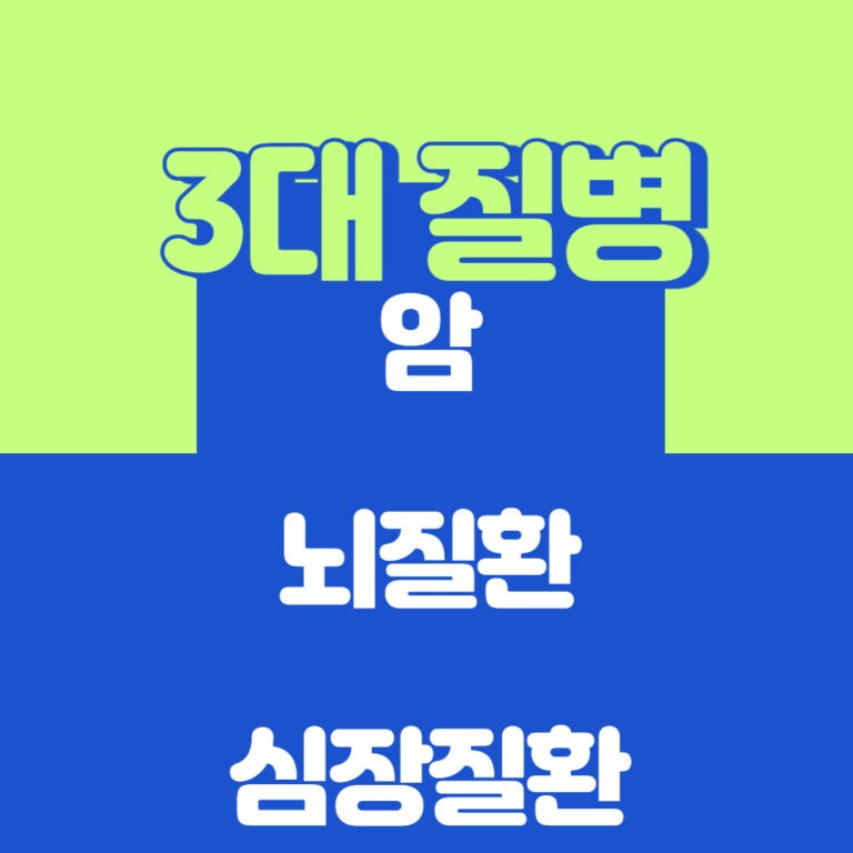 3대 질병 암, 뇌질환, 심장질환 진단금